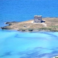 Pulizia dei fondali e delle spiaggie di Torre Guaceto 