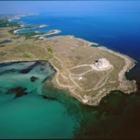 Torre Guaceto :  pulizia 