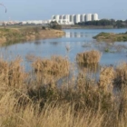 Convegno Ente parco Brindisi Natura