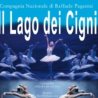 Camerata Musicale Salentina : "IL LAGO DEI CIGNI"