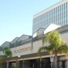 Brindisi : costituita la camera civile