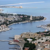 Fa pi� rumore un albero che cade o una foresta che cresce?