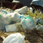 La raccolta differenziata:un problema economico