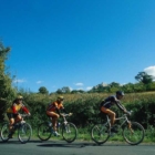 Il Cicloturismo tra storia e gastronomia tipica