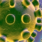 Appello EU su Alta Definizione. Aiart: "Siamo di fronte alla prima epidemia digitale, serve sobrietà" 