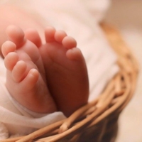 Stati generali della natalit�, Baggio: 