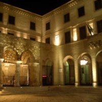 Visite guidate-apertura straordinaria museo